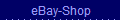 eBay-Shop